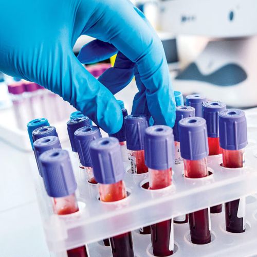 Health Quest Laboratories