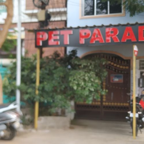 Pet Paradise