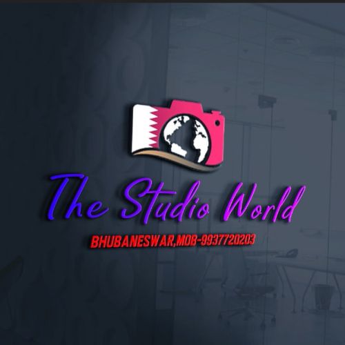 The Studio World
